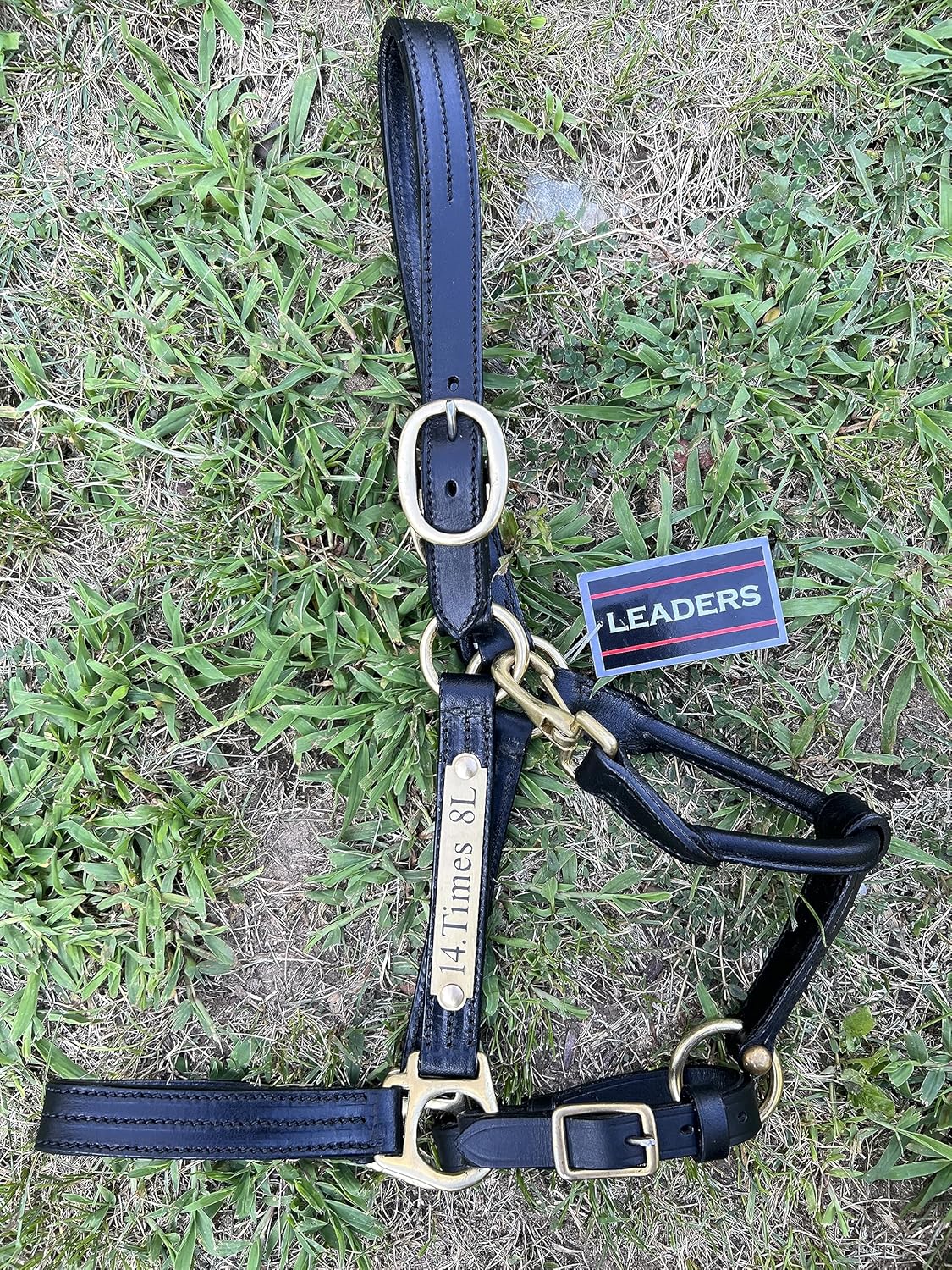 Leaders – Cabestro de cuero para caballos con placa de nombre grabada personalizada, cabestro para caballo, negrolatón