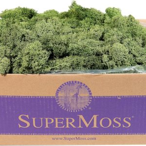 SuperMoss 25155 Musgo de renos preservado B01C5RTUIS, 3 libras, albahaca SuperMoss 25155 Musgo de renos preservado B01C5RTUIS, 3 libras, albahaca