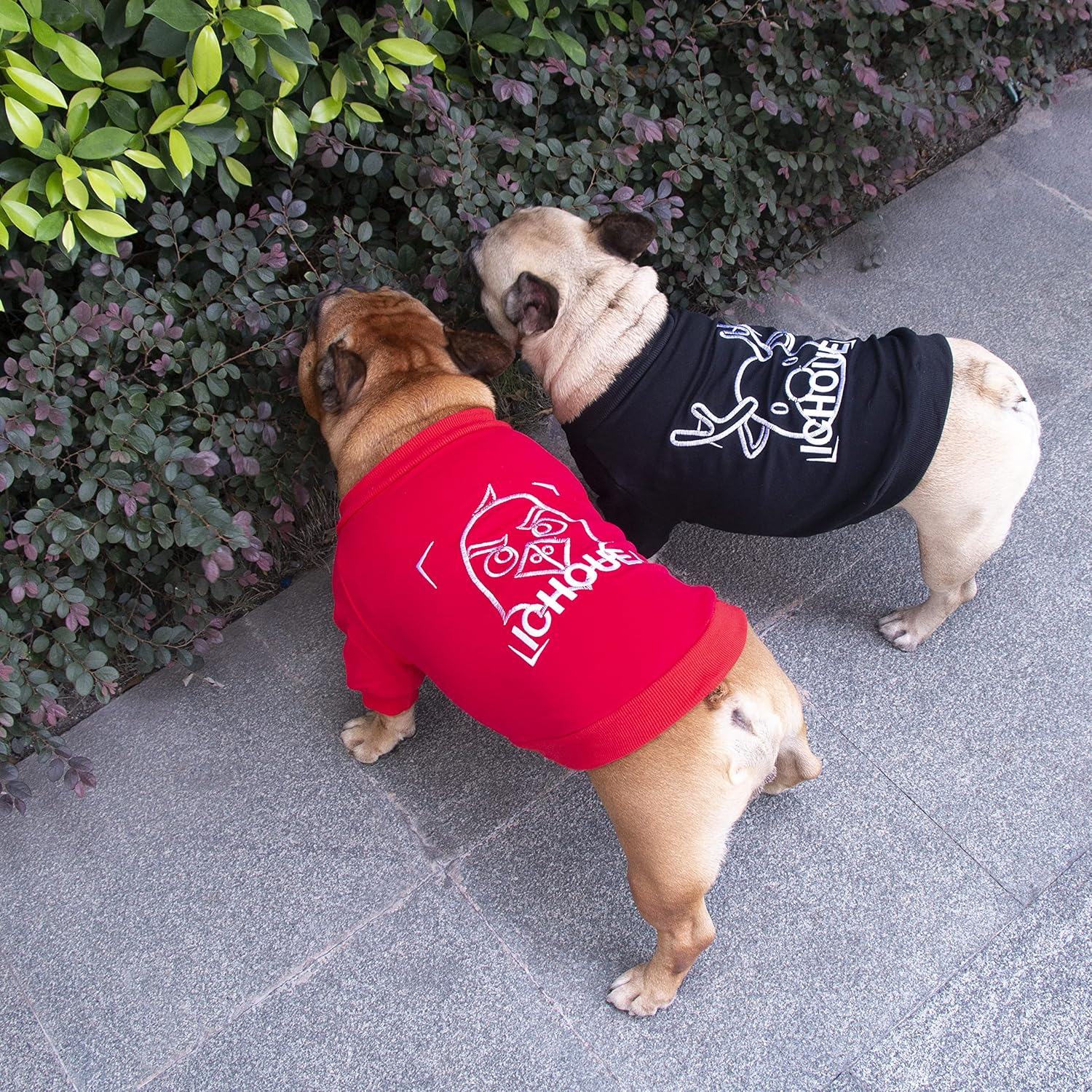 iChoue Sudadera de Bulldog Francés Bordado Ropa para Perro para Pug Frenchie Inglés Amarican Pitbull Boston Terrier – NegroMediano