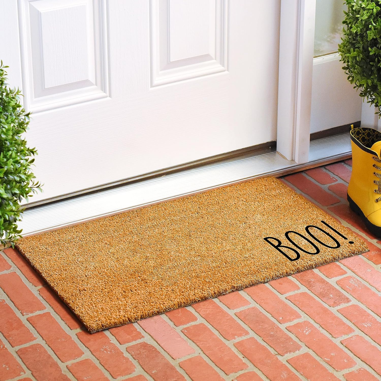 Calloway Mills 111871729 Boo Felpudo de 17 x 29 pulgadas