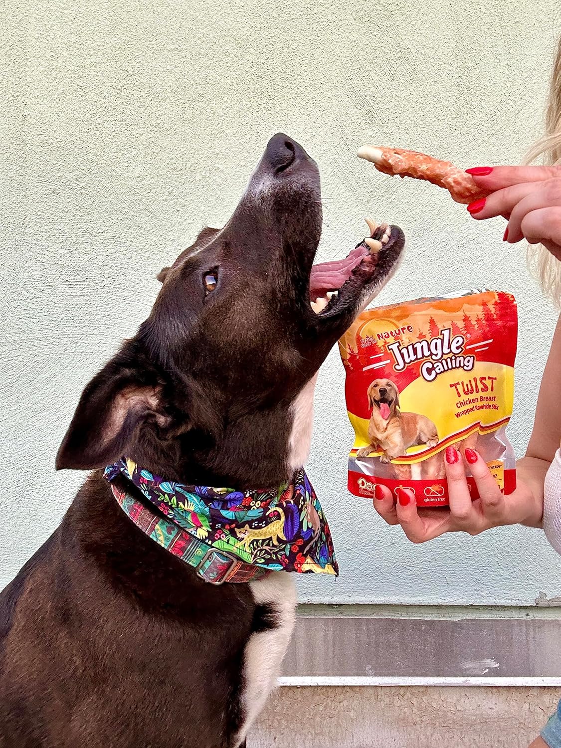 Jungle Calling Golosinas para perros, palitos de cuero crudo envueltos en pollo para perros, deliciosas y nutritivas golosinas de recompensa de