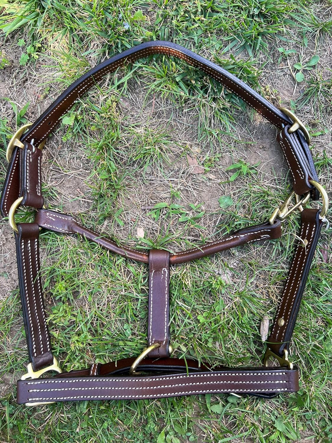 Leaders – Cabestro de cuero para caballos con placa de nombre grabada personalizada para caballo