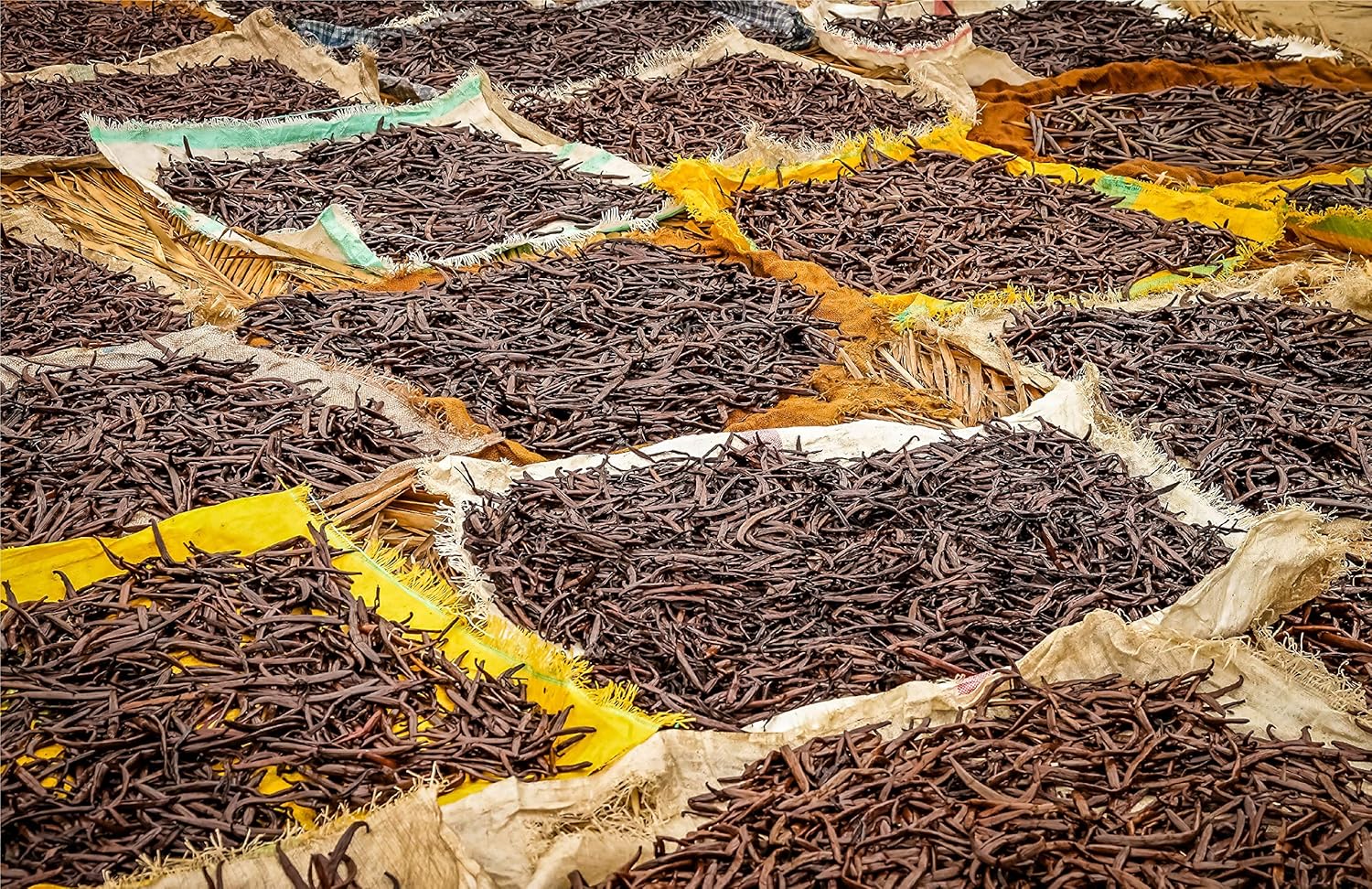 10 granos de vainilla orgánicos de Madagascar  Cápsulas de extracto entero grado B para hornear, extracto casero, elaboración de cerveza, café,