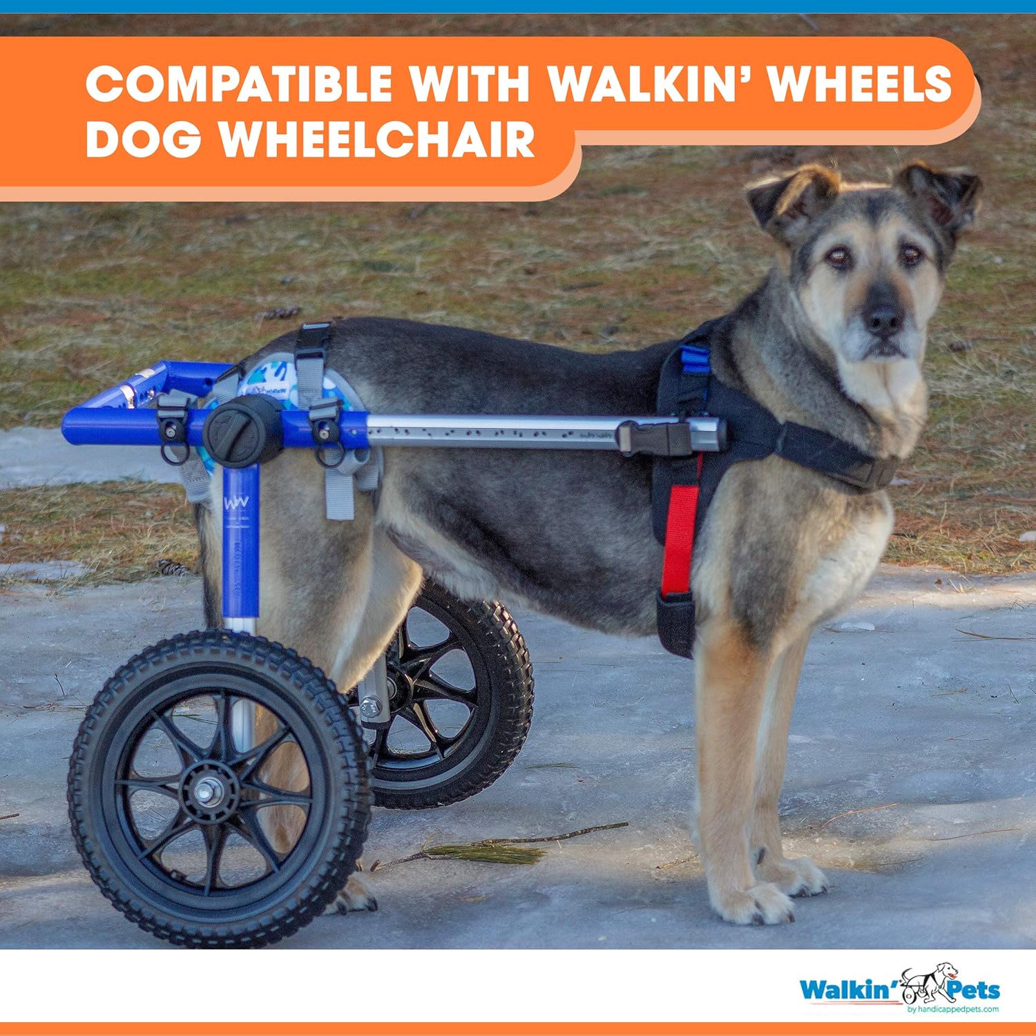 Walkin’ Warrior – Arnés trasero para perro para movilidad, asas ajustables, arnés para perros mayores y mascotas que se recuperan de una cirugía