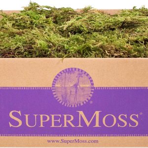 SuperMoss. Musgo de bosque conservado. SuperMoss. Musgo de bosque conservado.