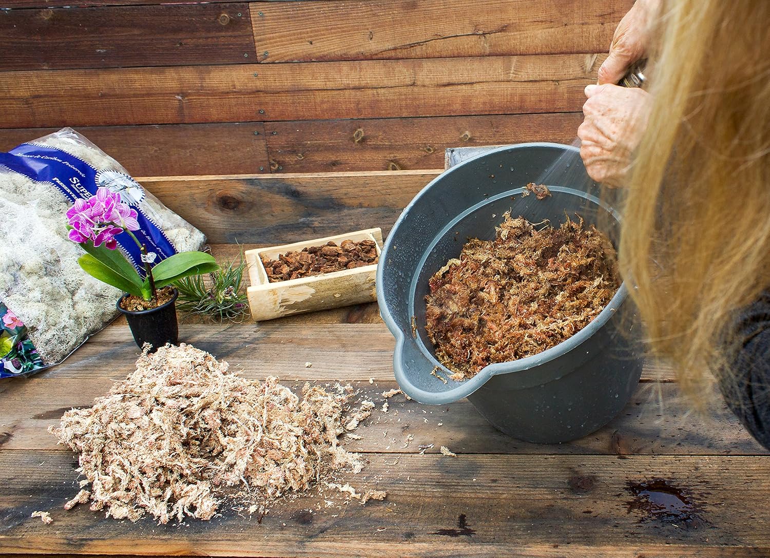 SuperMoss – Musgo seco para orquídea sphagnum seco