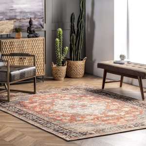 nuLOOM Esmeralda – Alfombra envejecida de medallón, 5 x 8 pies, color naranja nuLOOM Esmeralda – Alfombra envejecida de medallón, 5 x 8 pies, color naranja