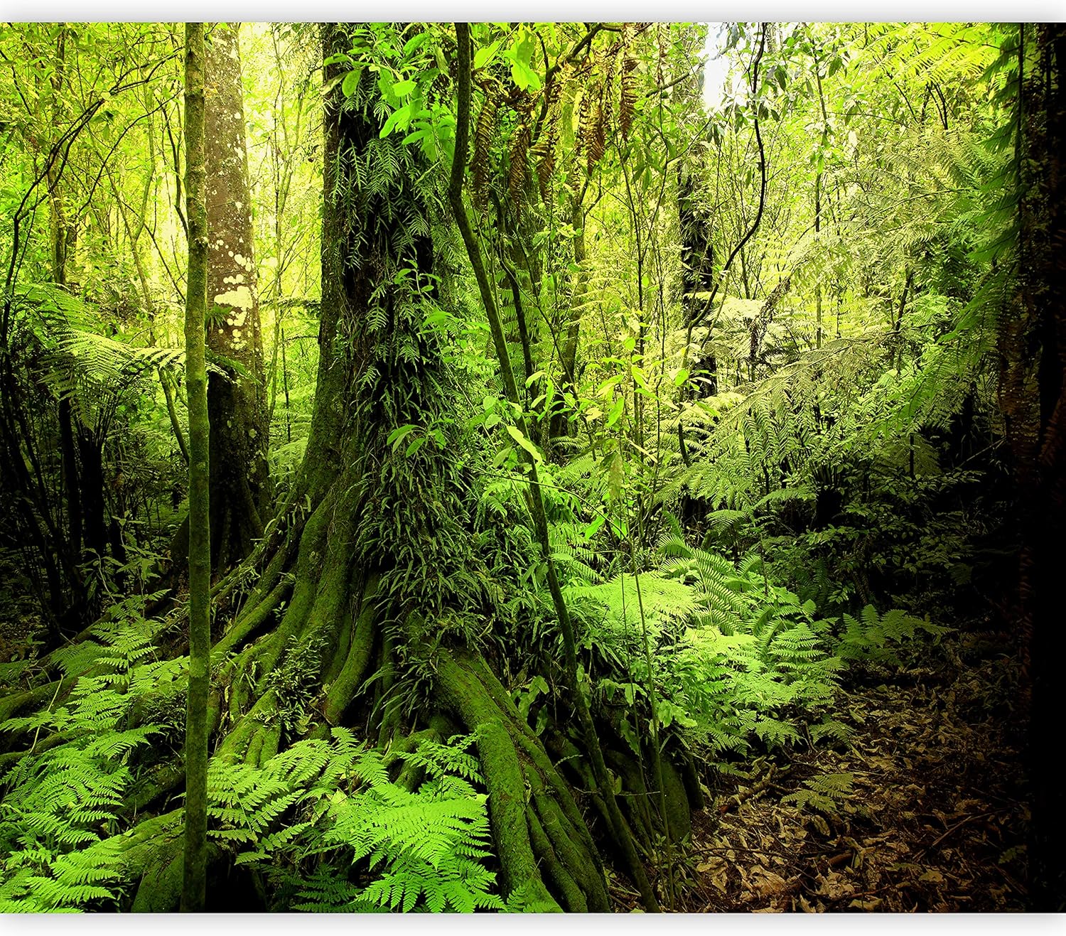 artgeist Mural de pared Bosque de 135 x 101 pulgadas – Papel tapiz autoadhesivo XXL para despegar y pegar, extraíble, gran adhesivo, decoración de