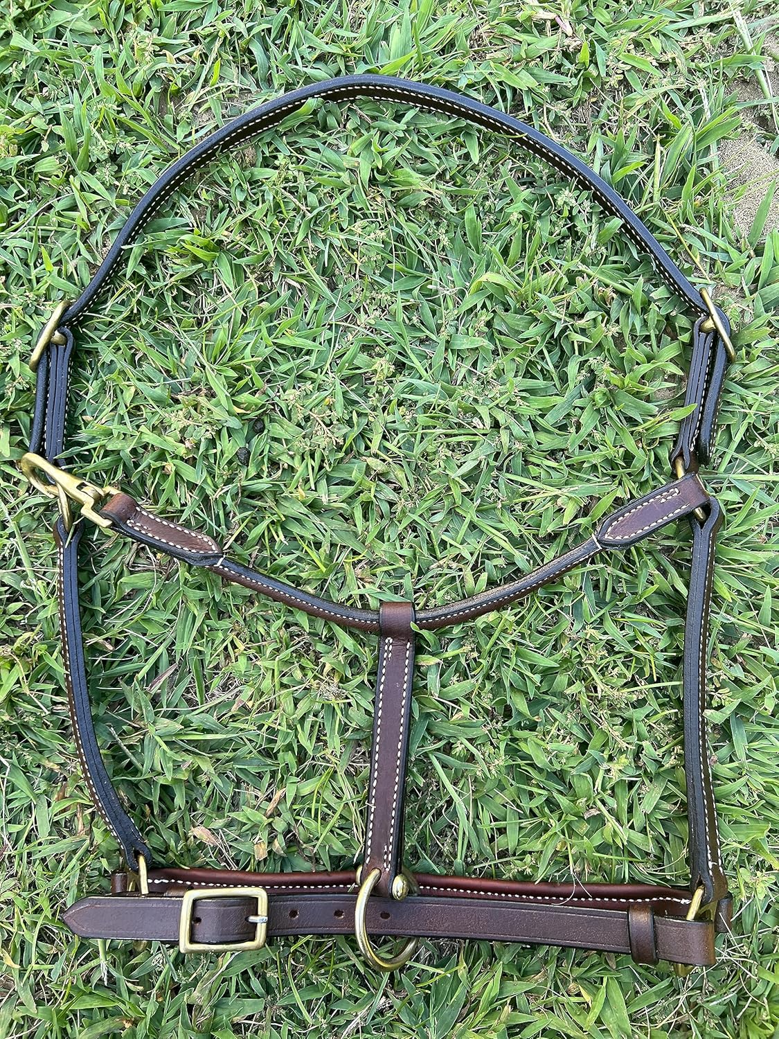 Leaders – Cabestro de cuero acolchado de 34 pulgadas para caballos con placa de nombre grabada personalizada, cuero marrón con herrajes de latón