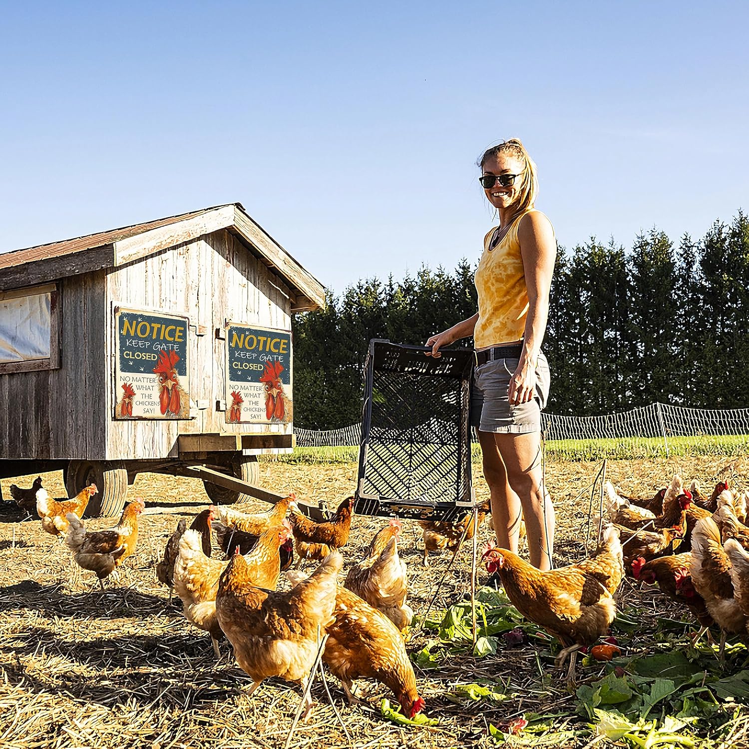Chicken Coop Signs funny chicken signs Keep Gate Closed No Matter What The Chickens Say chicken coop decor outdoor chicken coop ideas chicken coop