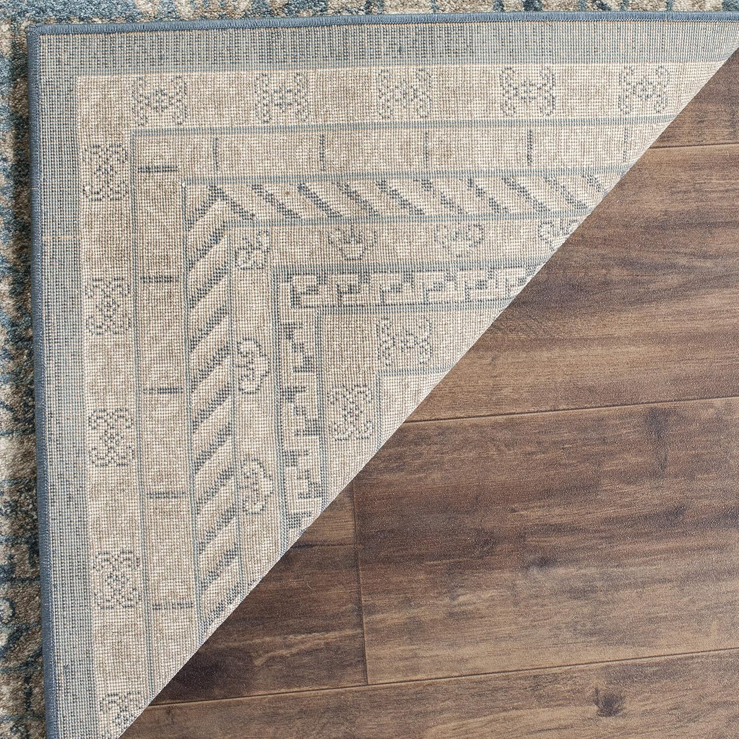 SAFAVIEH Sofia Collection SOF376C – Alfombra vintage oriental, envejecida, no desprende pelusa, para sala de estar, dormitorio, comedor, oficina en
