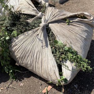 Sandbaggy Hojas de polietileno de plástico de 80 pulgadas x 80 pulgadas para paisajistas y jardineros (6) Sandbaggy Hojas de polietileno de plástico de 80 pulgadas x 80 pulgadas para paisajistas y jardineros (6)