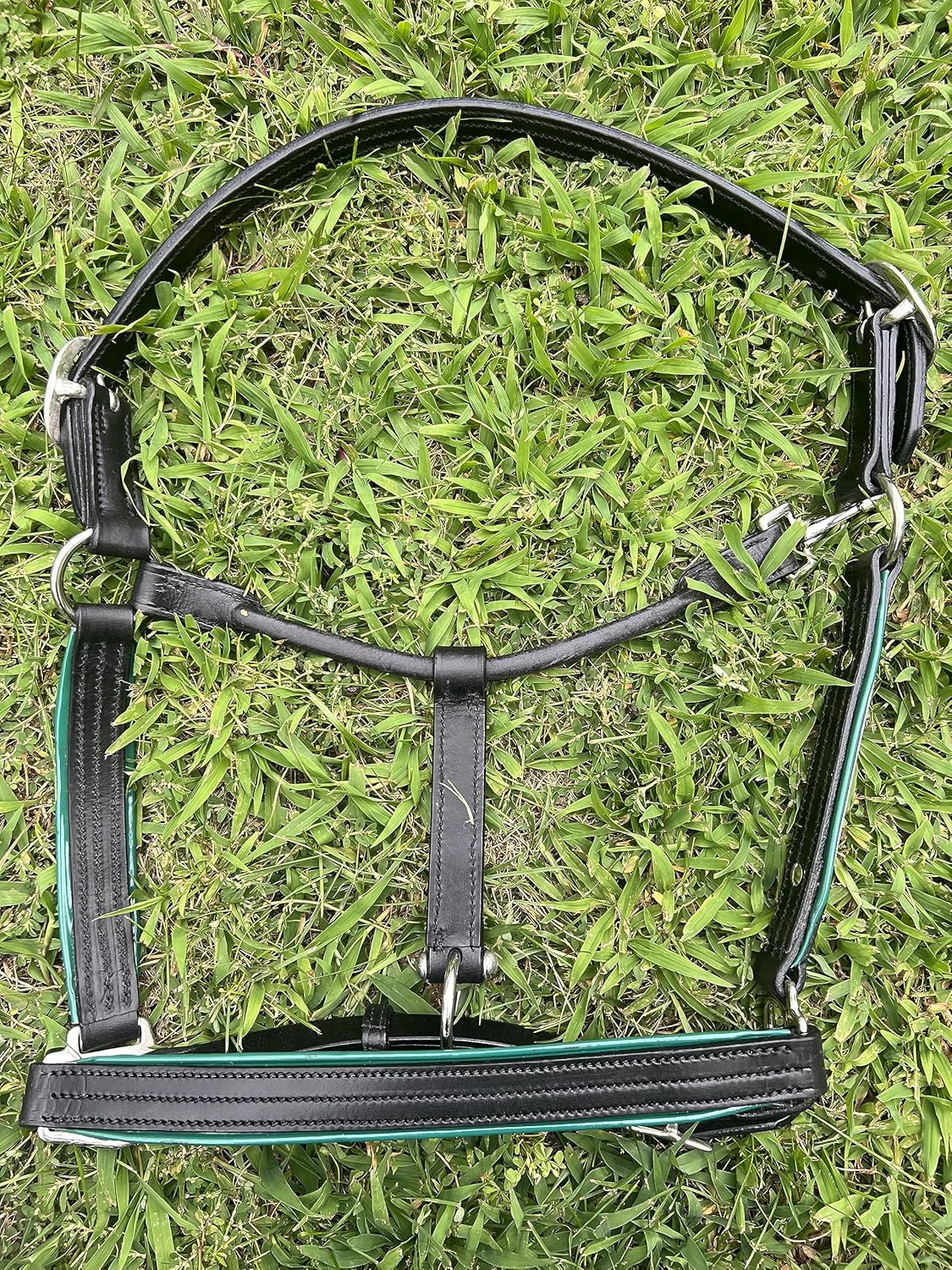 Leaders – Cabestro de cuero para caballos con placa de nombre grabada personalizada, cabestro para caballo con ribete de cuero