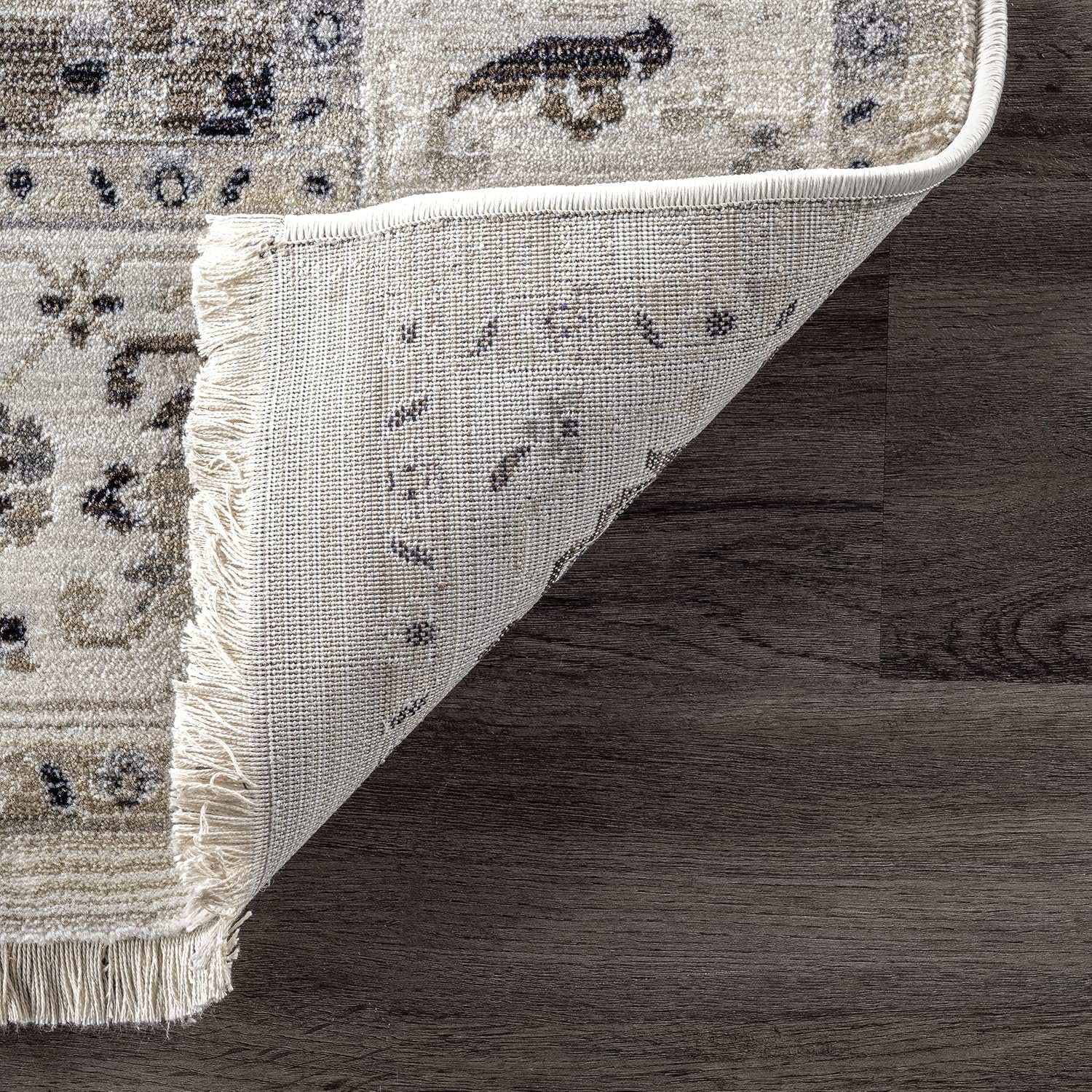 nuLOOM Oliveira – Alfombra de área con flecos y medallones florales, 4 x 6, color beige