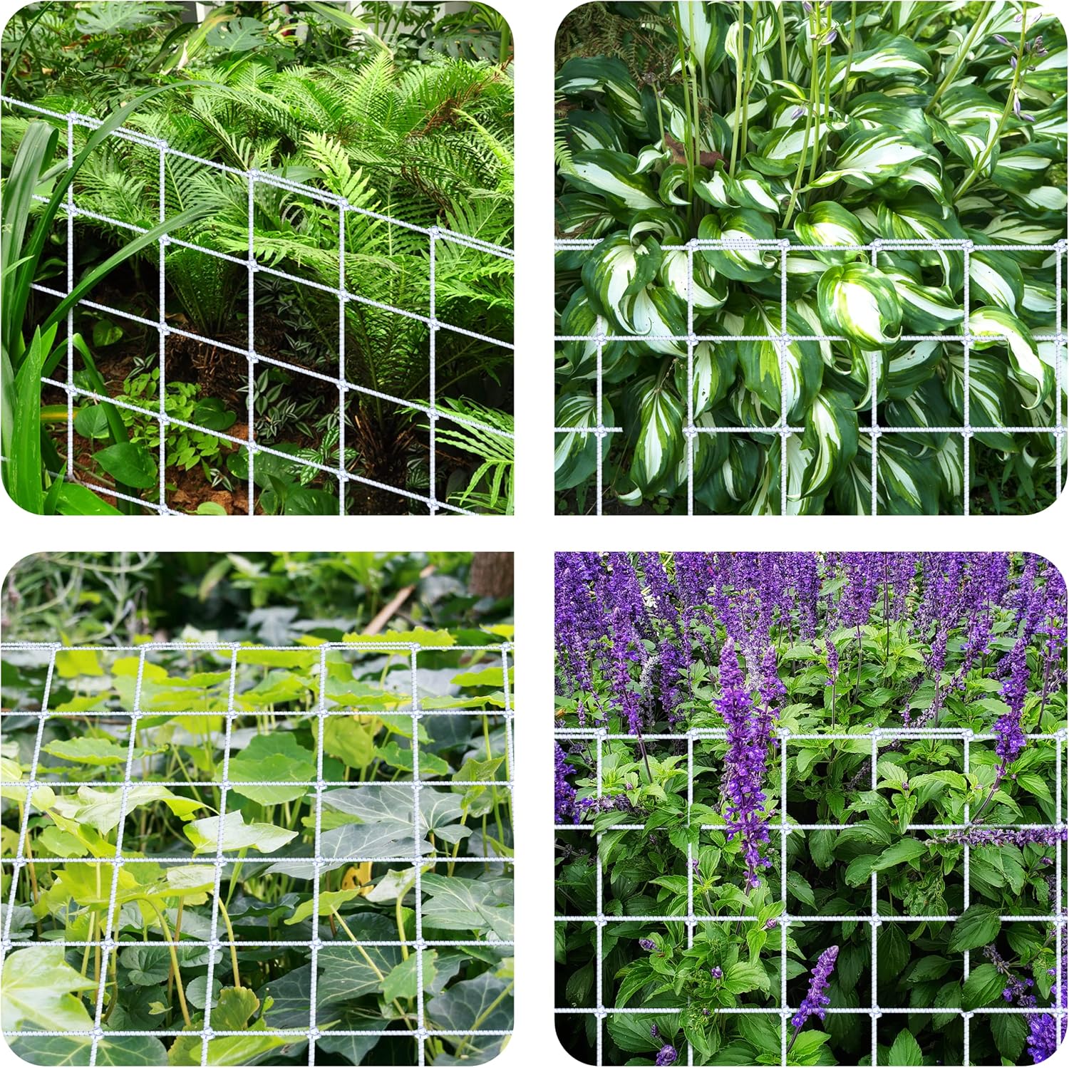 iPower 4′ x 4′ Grow Room Trellis Netting for 59″x59″ Room, Heavy-Duty Elastic Plant Net with Hooks, Flexible Hydroponics Support for Climbing