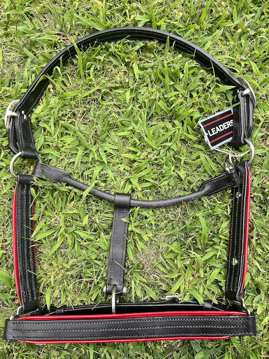 Leaders – Cabestro de cuero para caballos con placa de nombre grabada personalizada, cabestro para caballo con ribete de cuero