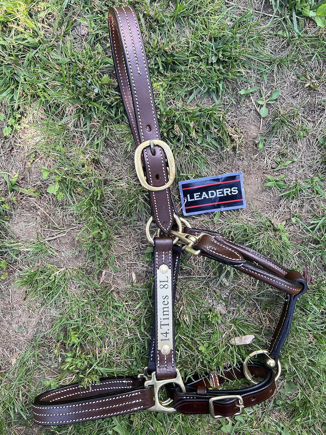 Leaders – Cabestro de cuero para caballos con placa de nombre grabada personalizada para caballo