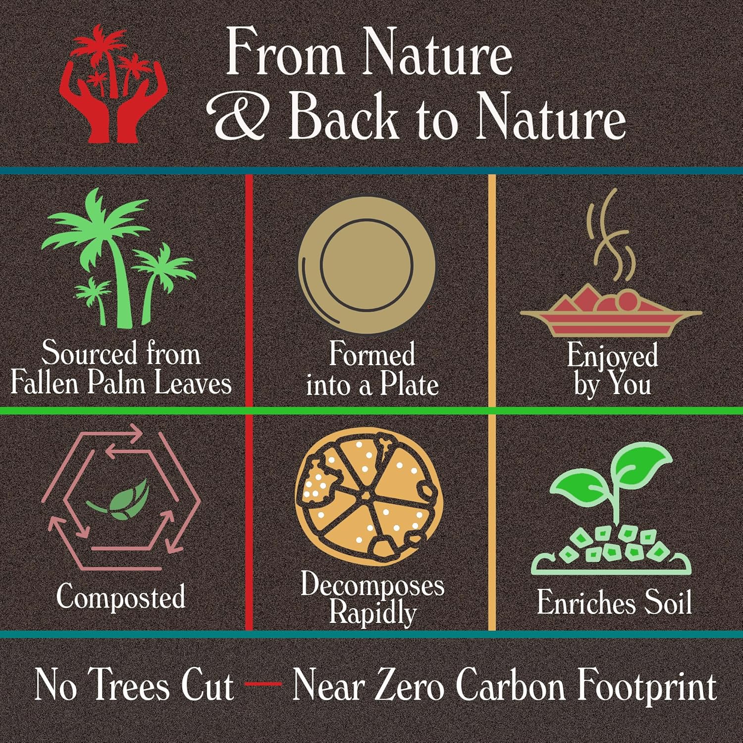 Indie Palm Platos desechables de hoja de palma, cuadrados de 6 pulgadas paquete de 50 100% compostables, alternativa ecológica al papel o al bambú,