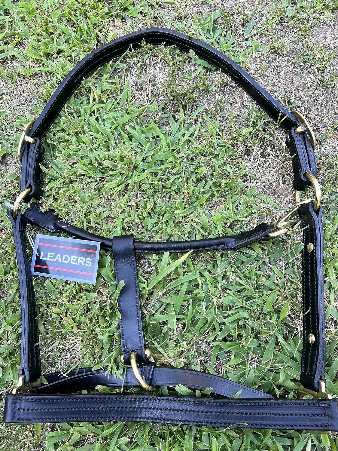 Leaders – Cabestro de cuero para caballos con placa de nombre grabada personalizada, cabestro para caballo, negrolatón