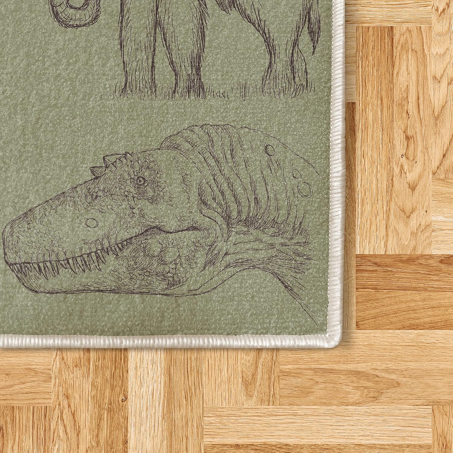 Ambesonne Jurassic – Alfombra decorativa, arreglo de varias ilustraciones de dinosaurios, esqueleto, biología histórica, alfombra de calidad para