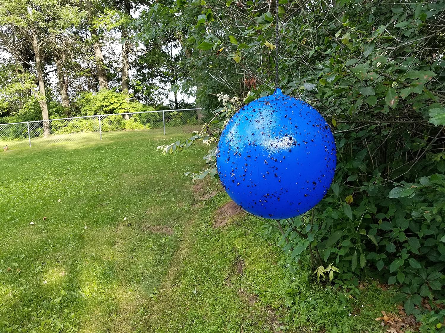 Bug Ball Deer Fly Ball – Bola de repuesto para moscas e insectos, sin olor, ecológica, sin pesticidas ni electricidad, segura para niños y mascotas