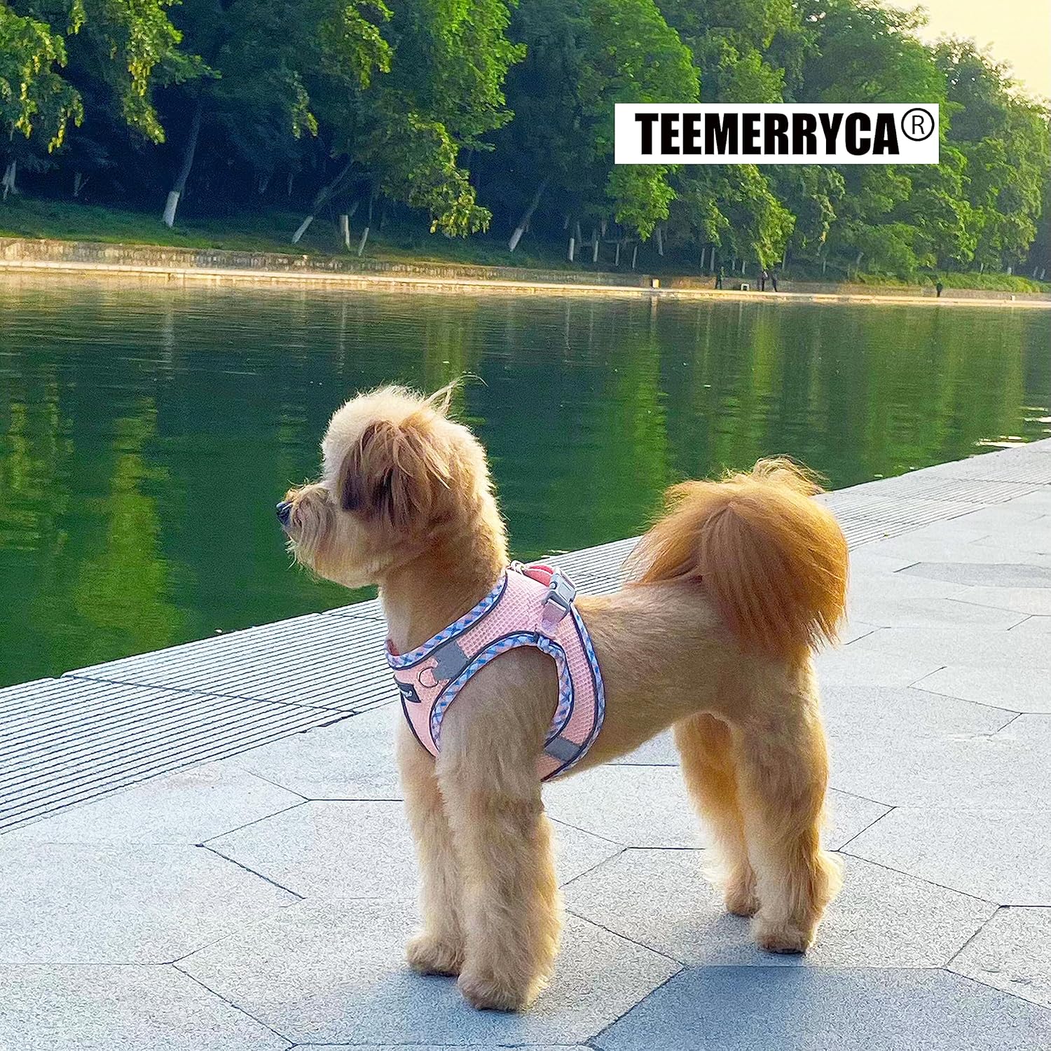 TEEMERRYCA Juego de arnés y correa para perro para todo tipo de clima, fácil de poner y quitar, arnés reflectante ajustable sin tirones para