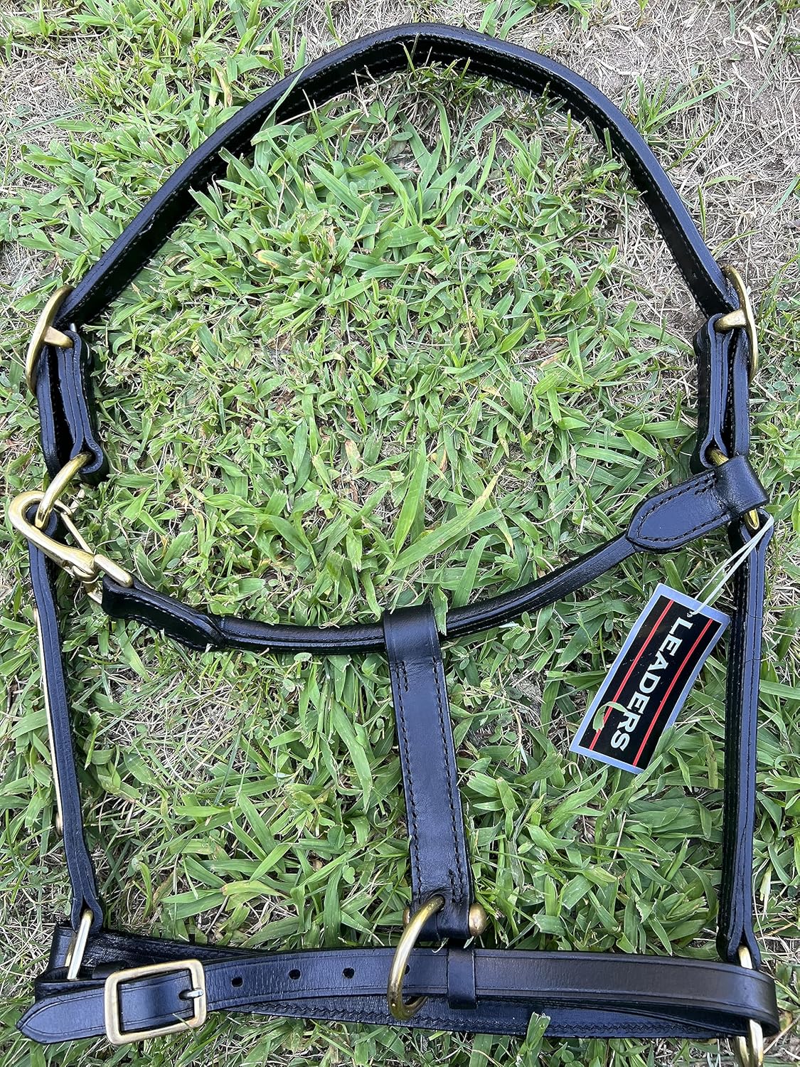Leaders – Cabestro de cuero para caballos con placa de nombre grabada personalizada, cabestro para caballo, negrolatón