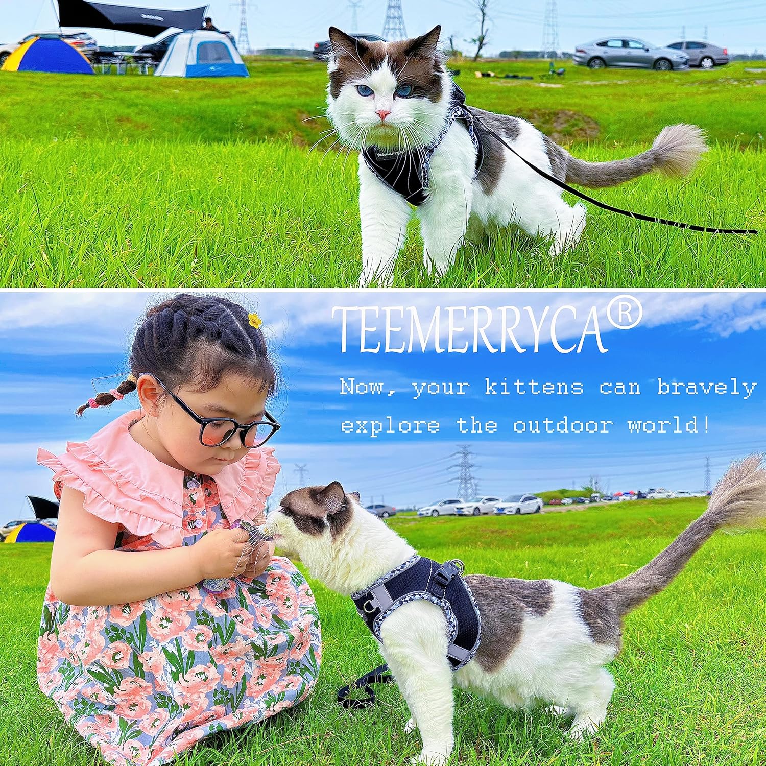 TEEMERRYCA Juego de arnés y correa para perro pequeño, fácil de poner y quitar, chaleco reflectante ajustable para cachorros y perros y gatitos