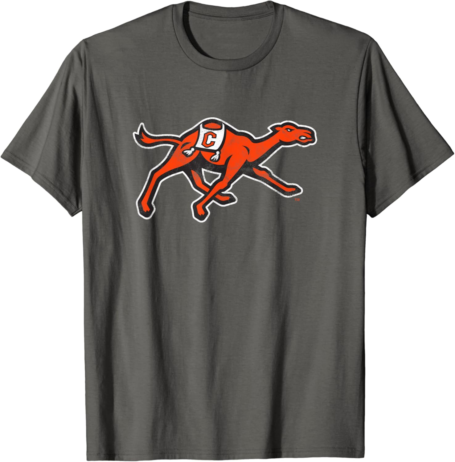Campbell University Fighting Camels Camiseta Primaria Desgastada, Gris