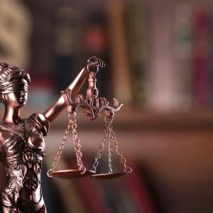 Navigating Court Proceedings Navigating Court Proceedings