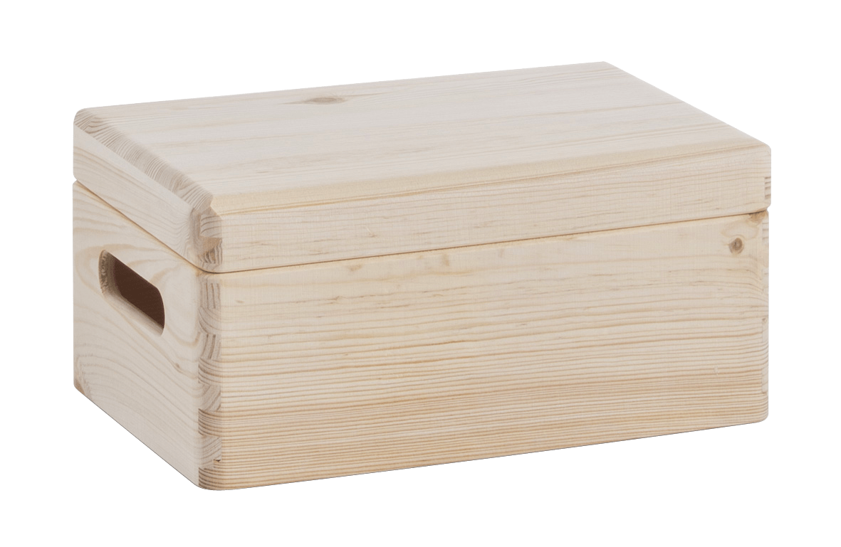 Allzweckkiste mit Deckel 30x20x14 cm