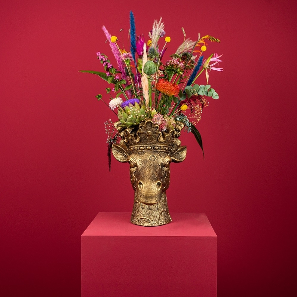 Pflanzkopf Lucie gold