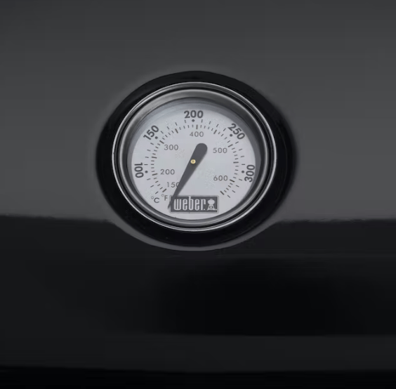 Weber Elektrogrill Lumin Compact schwarz