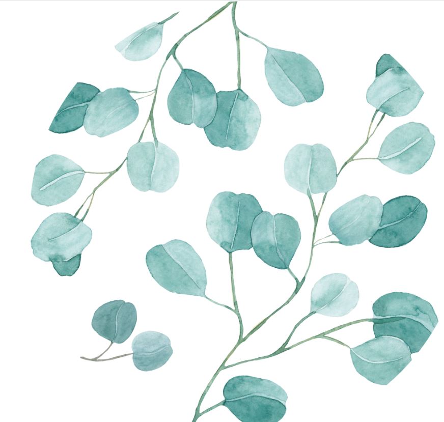 Eve Glaskaraffe 1,25 Liter inkl. Cooler, Eucalyptus