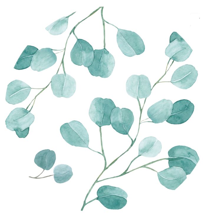 Leeza Thermotrinkflasche 0,5 Liter Eucalyptus