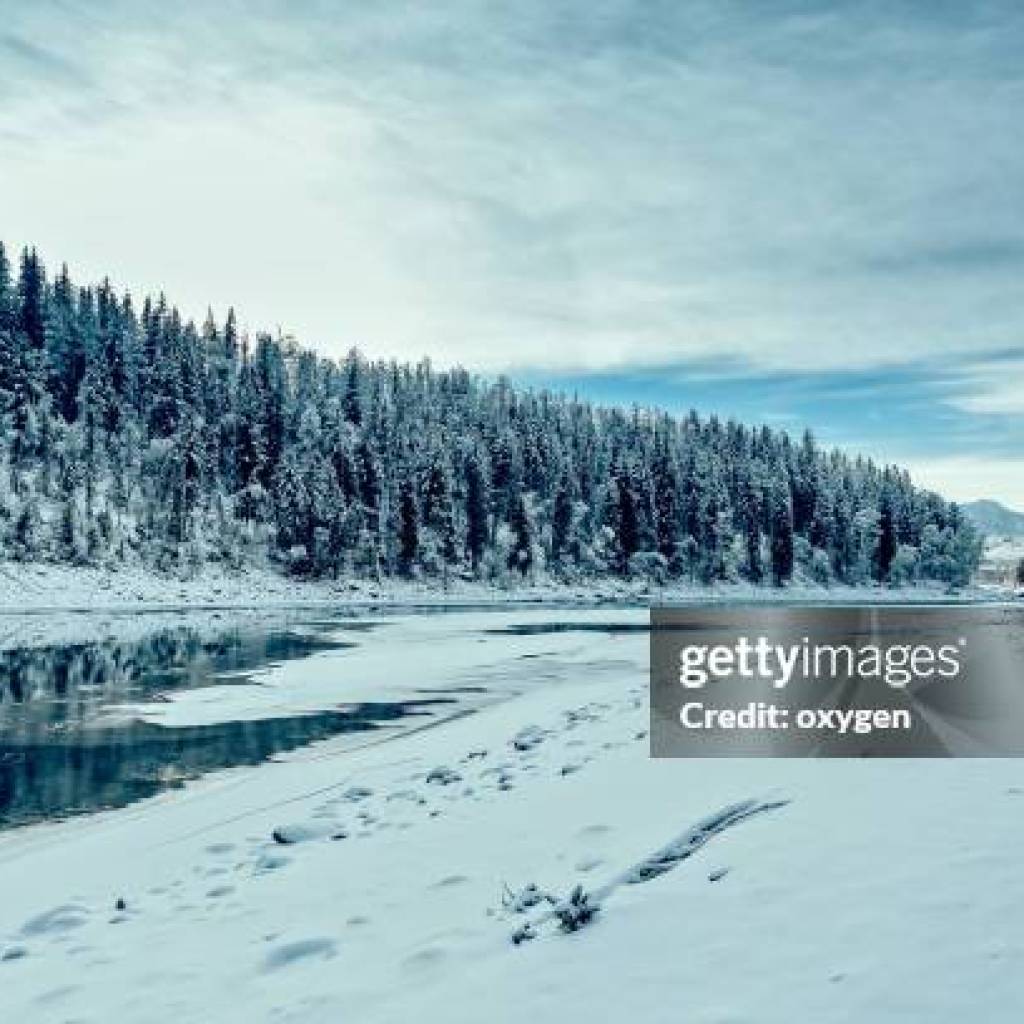 Porodica provela 50 godina u sibirskoj divljini: Kako su preživeli temperature od -68°C? Porodica provela 50 godina u sibirskoj divljini: Kako su preživeli temperature od -68°C?