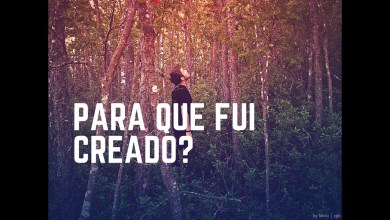 ¿Para qué fui creado? ¿Para qué fui creado?