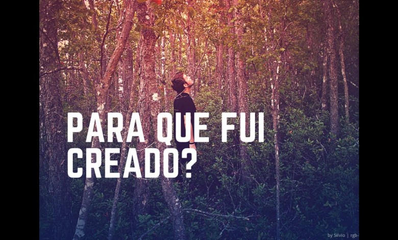 ¿Para qué fui creado? ¿Para qué fui creado?