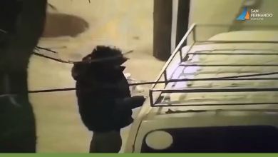 Detienen a sujeto cuando intentaba robar un auto Detienen a sujeto cuando intentaba robar un auto