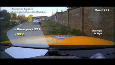 Rescatan de un zanjón a un lobito de río Rescatan de un zanjón a un lobito de río