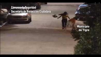 Le pegó a su mujer y lo detuvieron Le pegó a su mujer y lo detuvieron