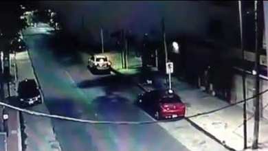 Buscan a “Jazmin”, su perrita caniche Buscan a “Jazmin”, su perrita caniche