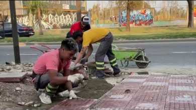Renuevan la 202 a la altura de Virreyes Rugby Renuevan la 202 a la altura de Virreyes Rugby