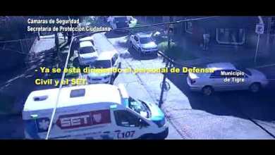 Chocó, volcó y tiró una palmera Chocó, volcó y tiró una palmera