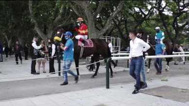 Se corrió el Gran Premio Carlos Pellegrini Se corrió el Gran Premio Carlos Pellegrini