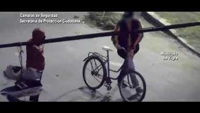 Robó una bici y lo detuvieron por Alerta Tigre Global Robó una bici y lo detuvieron por Alerta Tigre Global