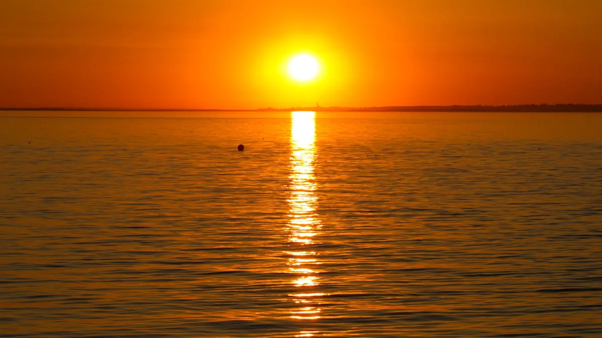 ‘Used to be quite a rare phenomenon’ ‘Used to be quite a rare phenomenon’