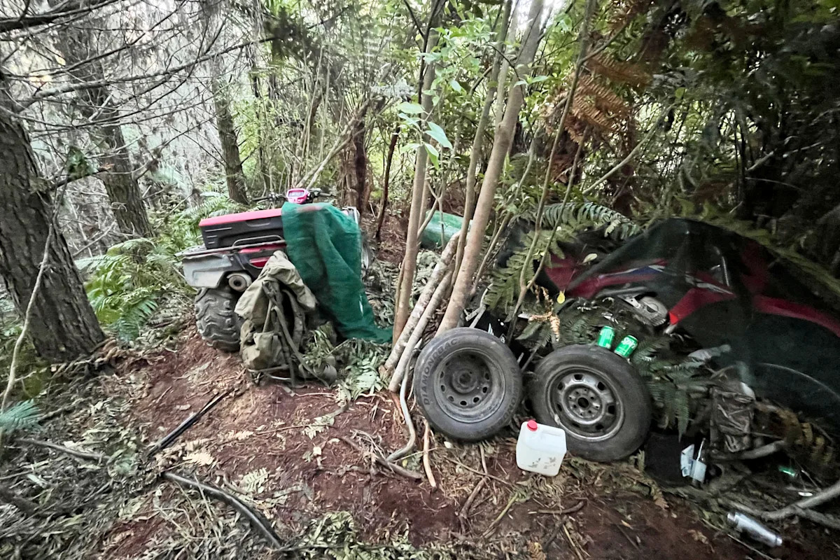 New Zealand police investigate how a man hid his 3 children in a forest for years without discovery New Zealand police investigate how a man hid his 3 children in a forest for years without discovery